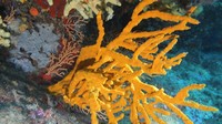 img_0117.jpg